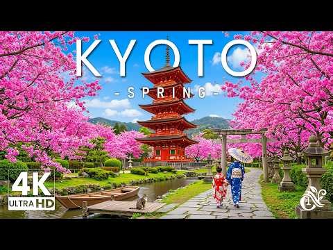 Kyoto Spring 4K 🇯🇵 Japan Cherry Blossoms Season, Ancient Temples & Scenic Landscapes