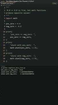 The Hidden Negative Zero Paradox in Python! #python #mathematics #programming #coding