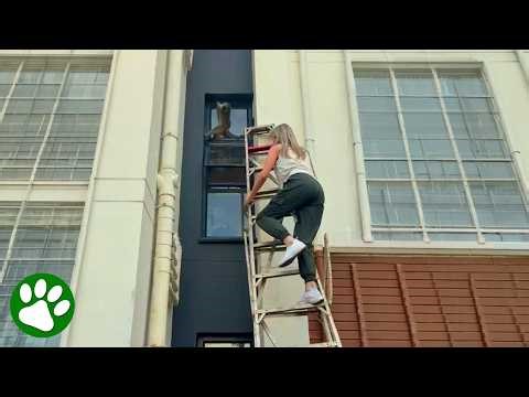 Woman Risks Her Own Life to Save Trapped Monkey