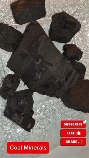 Coal Minerals Explained in 35 Seconds | Geology Wonders