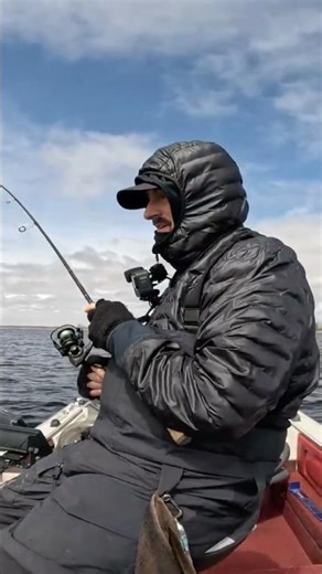 Door County Post Spawn Walleyes! #piscifun #walleyefishing #doorcounty