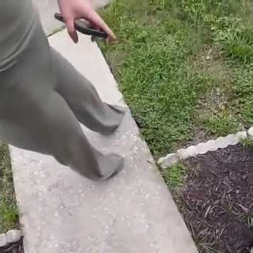 HSI Agents Visit Homeowner Over Months-Old Anti-ICE Tweets