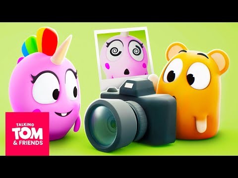 Smile for the Camera! 📸😁 Talking Tom & Friends | Animated Cartoons