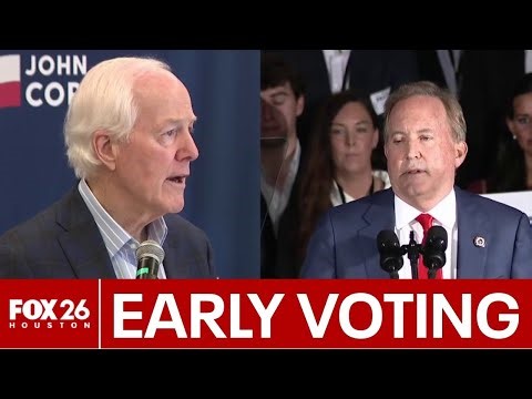 Early voting in Texas Primary runoff elections