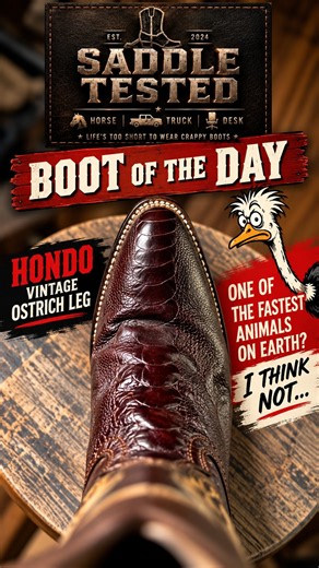 BOTD - Vintage Hondo Ostrich Leg - #cowboys #westernwear #boots #saddletested #rodeo