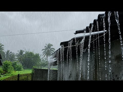 The Coziest Rainstorm Ever | Relaxing Nature Sounds for Deep Sleep