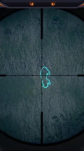 We FINALLY Got a Diamond 💎 Pine Marten! #cotwgameplay #thehunter #cotw