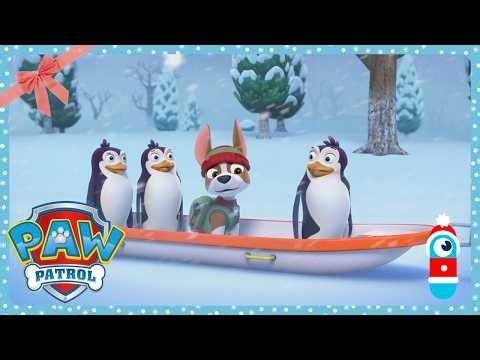 Snow Penguins - Paw Patrol | WildBrain North Pole | Happy Holidays Compilation! 🎁
