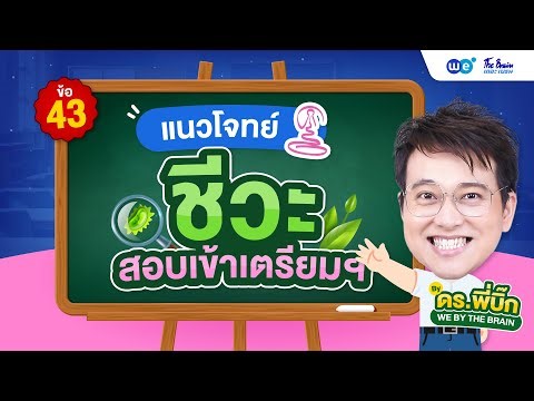 ชีวะสอบเข้าเตรียมฯ ข้อ 43🔥 l พี่บิ๊ก WE BY THE BRAIN