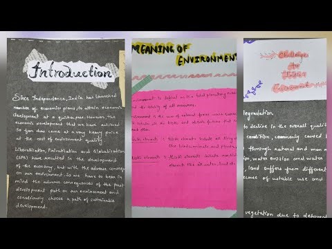 Economics Project on Sustainable Development Class 12th!!!