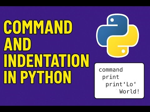 Python Commands & Indentation Explained in Hindi | Beginners Guide