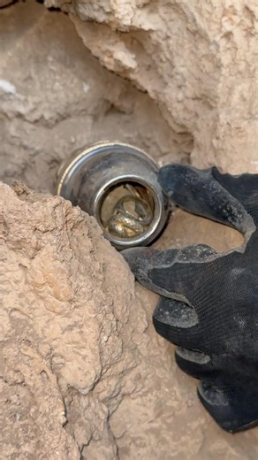 extracting treasure middle buried #archaeology #treasuresearch #gold #archaeology