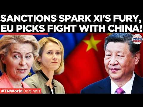 “FACE THE CONSEQUENCES": EU’s 20th Russia Sanctions Move Fires Back; Beijing Warns | Times Now World