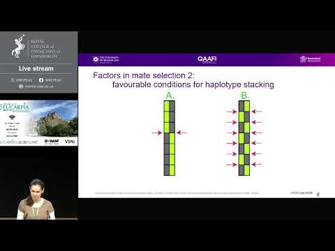 Kira Villiers 'An algorithm for mate selection by haplotype stacking'