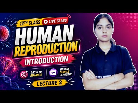 📘 Class 12 Biology – HUMAN REPRODUCTION 🎯| Lecture 02 | Live Class