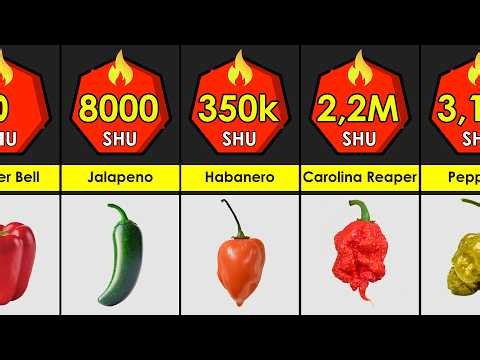 Hottest Peppers In The World