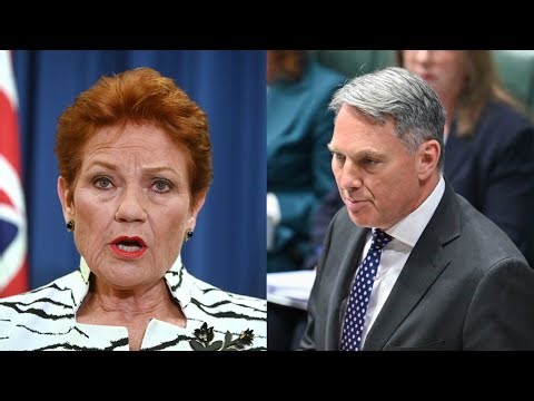 ‘Elephant in the House of Reps’: Labor addresses One Nation in Question Time