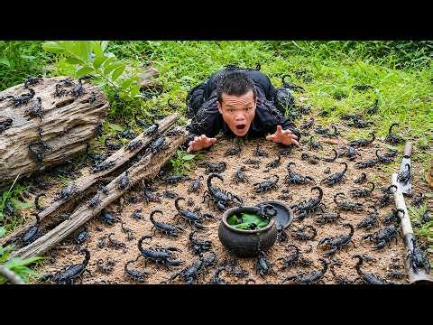 Dwarf Family Encounters a Massive Scorpion Swarm in the Wilderness | Survival Life
