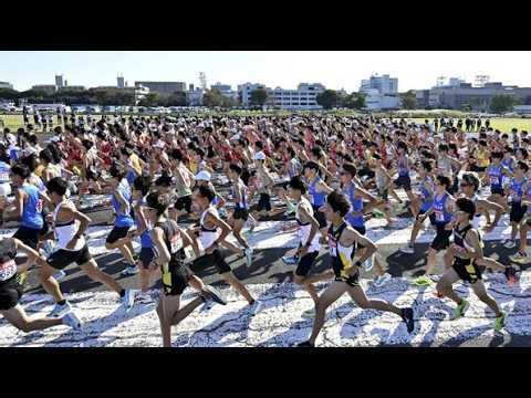 🔥【箱根駅伝予選会】東洋大が圧巻の首位通過！専修大の躍進と法政大の執念に感動🏃