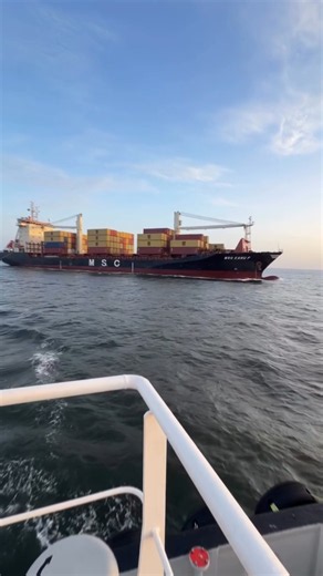 msc ship|merchant Navy|maritime career|trending video #ship #trending #merchantnavy
