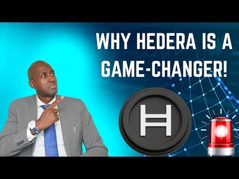 Why Hedera is Poised to Dominate the Future!