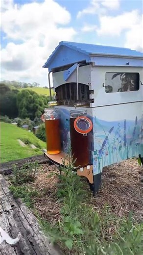 How much honey can you get from a Flow Hive?