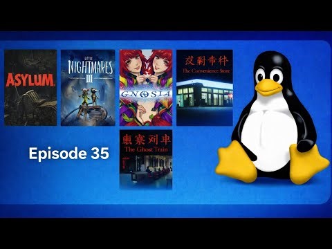 Gaming with Linux: Steam Library Play Through Update Ep. 35 