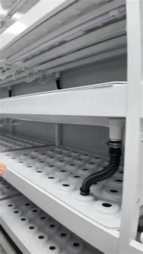 Just installed and ready to rock! 🌱🚀 Our all-in-one hydroponic container farm for leafy greens is officially up and running – seeding AND growing in the same space! Super efficient, water-saving, year-round fresh greens (lettuce, kale, spinach & more) no matter the weather. Watch the full install video – future farming starts here! What leafy greens would YOU grow in one? Drop your thoughts below! 🥬✨ #HydroponicContainerGrowing #Hydroponics #ContainerFarm #ShippingContainerFarm #LeafyGreens #