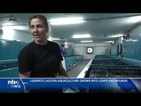Lagoon Aquaculture expands into cross-border seafood exports - nbc