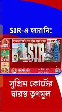 SIR-এ হয়রানি! সুপ্রিম কোর্টের দ্বারস্থ তৃণমূল | #Shorts