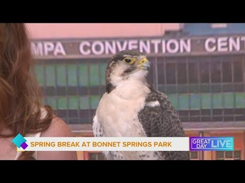 Spring Break at Bonnet Springs Park