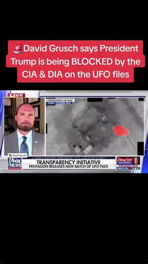 David Grusch: CIA and DIA Blocking Trump’s UFO File Access
