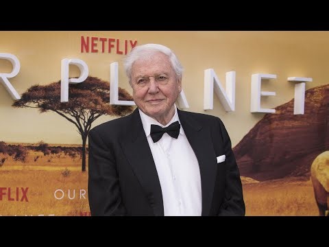 Sir David Attenborough celebrates milestone 100th birthday