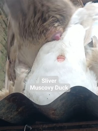 Embrace Change: The Real Power of New Year Resolutions