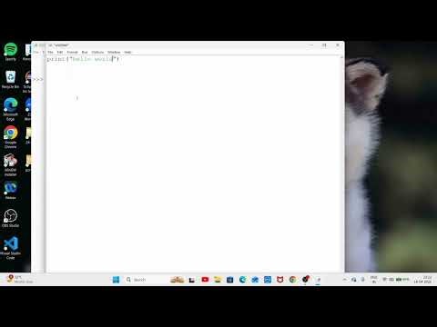 How to Write Hello World in Python | Beginner Tutorial