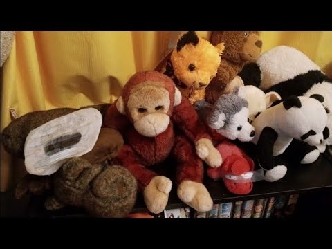 PBS & His Friends S40 E17: School Schedule