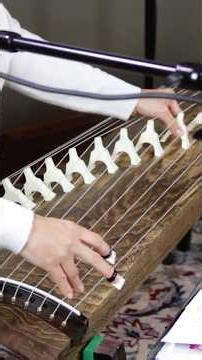 13 String Japanese Traditional Instrument is Beautiful