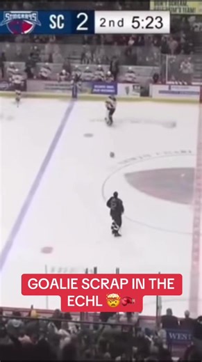 They were THROWING (via @FloHockey @Greensboro Gargoyles @South Carolina Stingrays) #NHL #Hockey #GoalieFight #ECHL