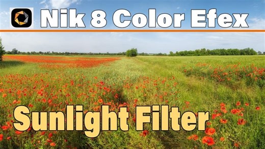 Sunlight Filter in Nik 8 Color Efex | Add Warmth Sunny Glow (Tutorial) | DxO Labs