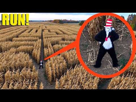 drone catches REAL Cat in the Hat hiding in Haunted Corn Maze... (He's Bad)
