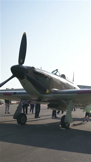 Britain's Battle-Winning Fighter #aviationhistory #hawker #aviation #history #wwii