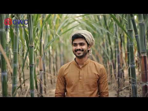 CWC: Driving India’s Supply Chain Forward | From Storage to Strength | Modern Warehousing