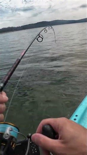 This Fish Surprised Me!