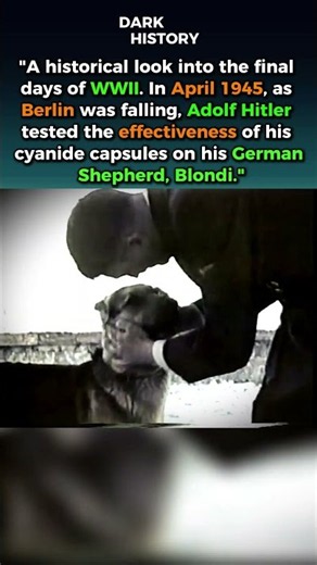 Hitler Tested His Cyanide Capsule on His Own Dog #ww2 | Dark History
