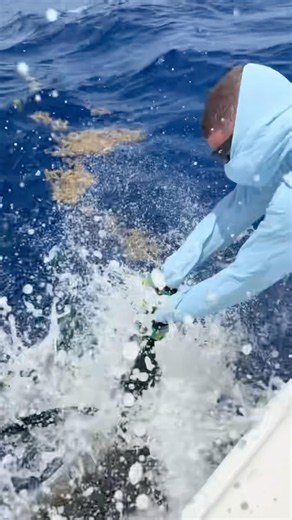 Big Fish vs Fisherman