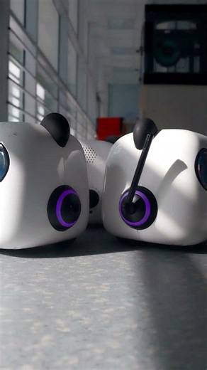 Панда привет #робот