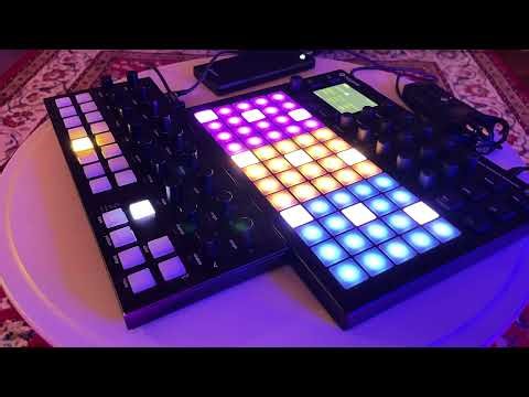 Chill Hypnotic Minimalist Percussion 🌿 Torso T-1 & Polyend Synth PMD Physical Modeling Performance