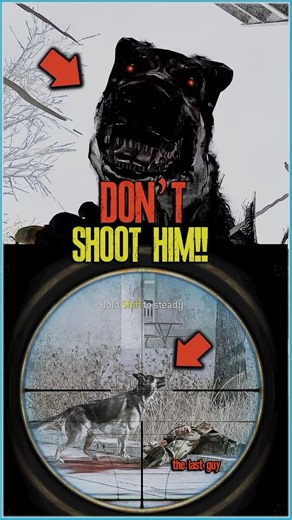 Captain Price Shot The Dog… BIG Mistake 😳 | COD #shorts