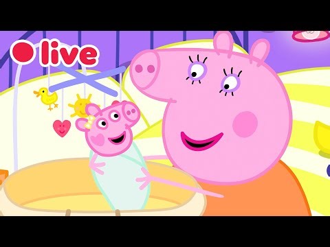 Peppa Pig NEW BABY EVIE Episodes LIVE 🍼 Cutest & Funniest Moments 🥹💛 Kids Cartoons