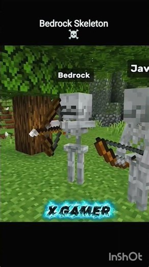 Minecraft Java vs Bedrock#edit #minecraft